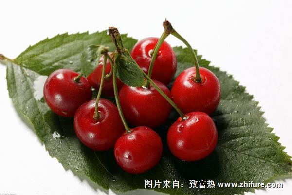 櫻桃大棚種植技術(shù)