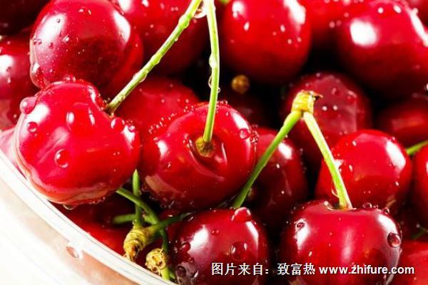 吃櫻桃是哪個季節