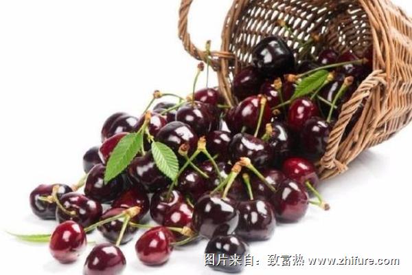 櫻桃和車厘子一樣嗎