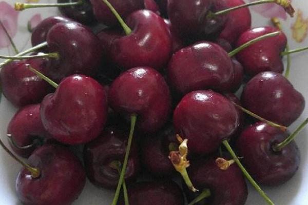 櫻桃和車厘子一樣嗎