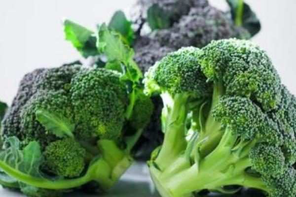 2018種花椰菜賺錢嗎？花椰菜種植的利潤與投資成本及前景預測