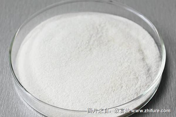 木瓜蛋白酶的功效與作用