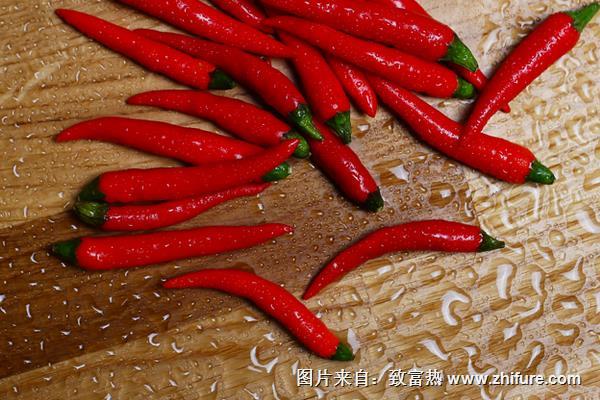 朝天椒和小米椒哪個辣