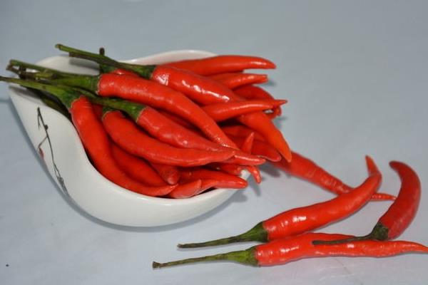 朝天椒和小米椒哪個辣