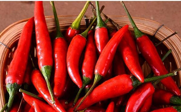 朝天椒和小米椒區(qū)別是什么