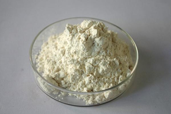 木瓜蛋白酶價(jià)格多少錢一斤