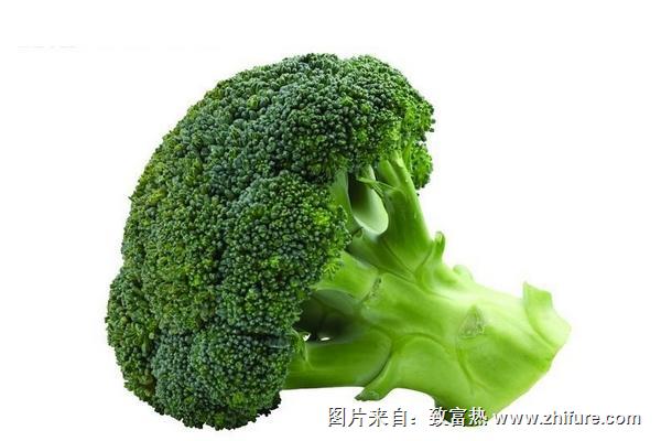 2018種西蘭花賺錢嗎？西蘭花種植的利潤與投資成本及前景預(yù)測