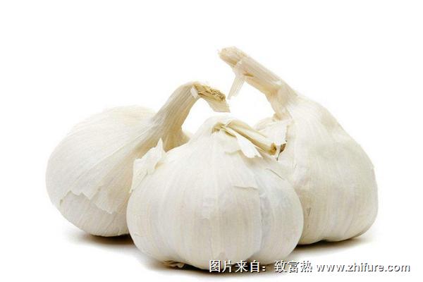 2018種大蒜賺錢嗎？大蒜種植的利潤(rùn)與投資成本及前景預(yù)測(cè)