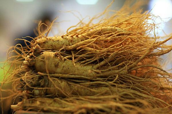 石榴的籽可以吃嗎