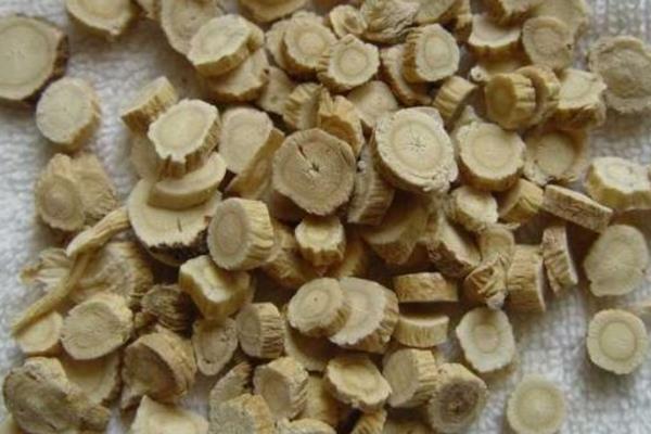 林下種植黃芪經(jīng)濟(jì)效益可觀