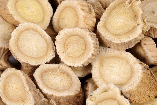 林下種植黃芪經(jīng)濟(jì)效益可觀