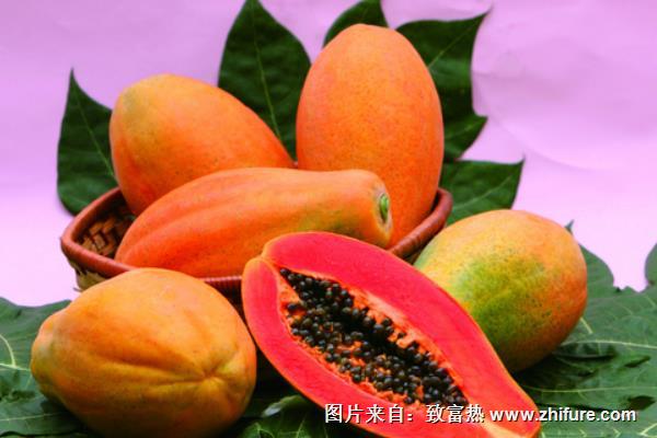 木瓜的營養(yǎng)價值