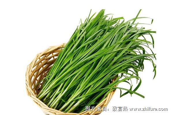 韭菜補(bǔ)什么