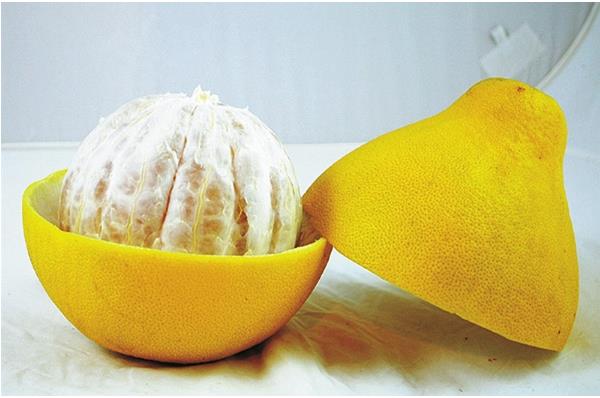 柚子的營(yíng)養(yǎng)價(jià)值及功效 柚子及柚子皮的藥用價(jià)值