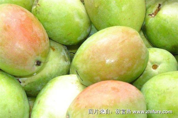 酸木瓜和木瓜的區別是什么-