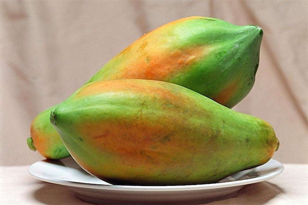 酸木瓜和木瓜的區別是什么-