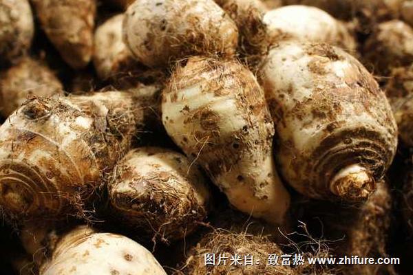 2018種芋頭賺錢嗎？芋頭種植的利潤與投資成本及前景預測