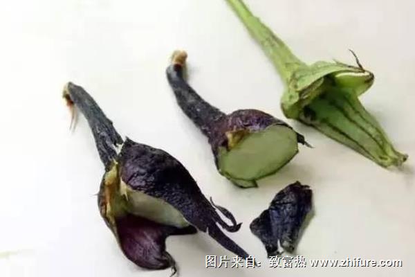 茄子把功效與作用及禁忌