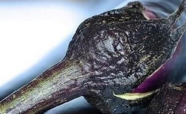 茄子把功效與作用及禁忌