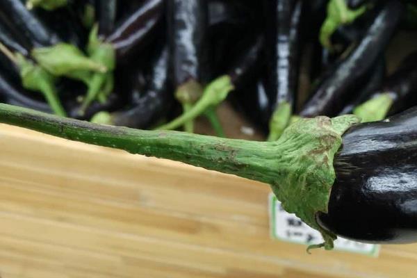 茄子把功效與作用及禁忌