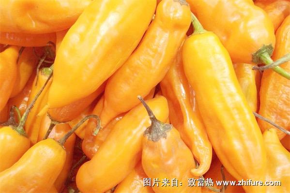 黃辣椒怎么做好吃