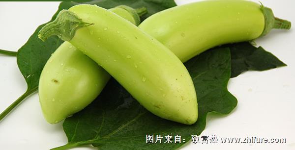青茄子和白茄子一樣嗎