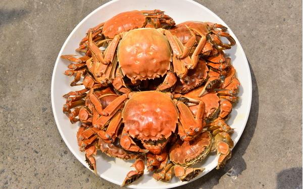 茄子和蝦能一起吃嗎