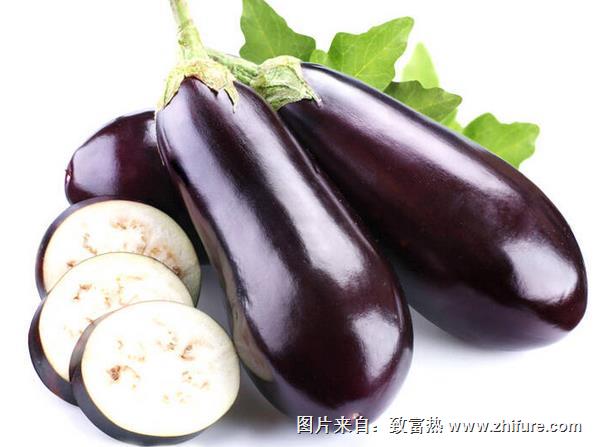 圓茄子和長茄子的區別是什么