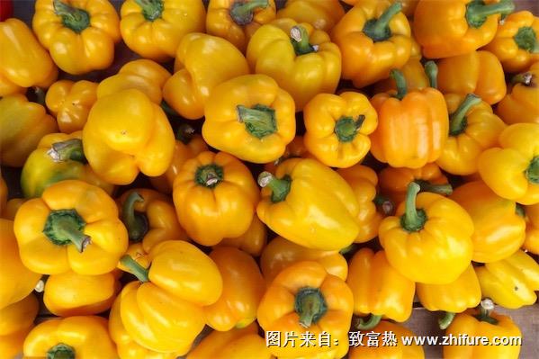 黃辣椒能吃嗎