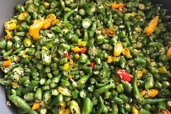 青辣椒如何曬成辣椒干