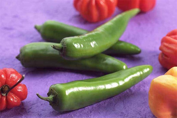 青辣椒如何曬成辣椒干