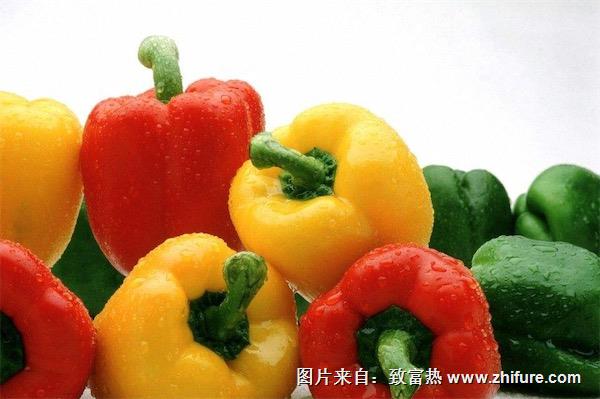 黃辣椒圖片大全