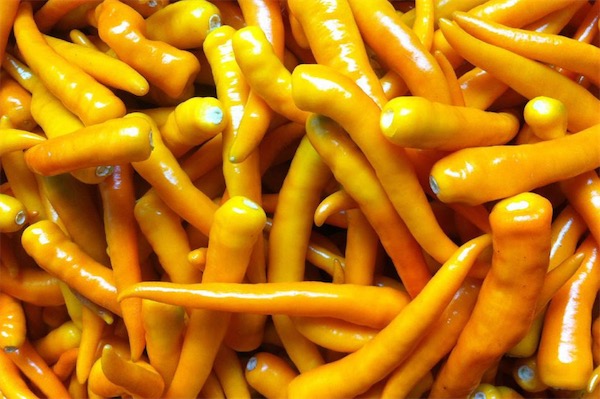 黃辣椒圖片大全