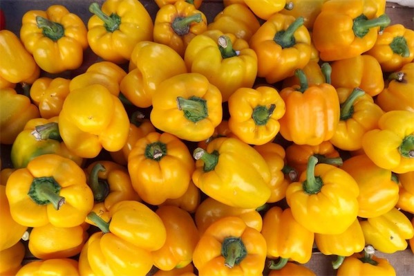 黃辣椒圖片大全