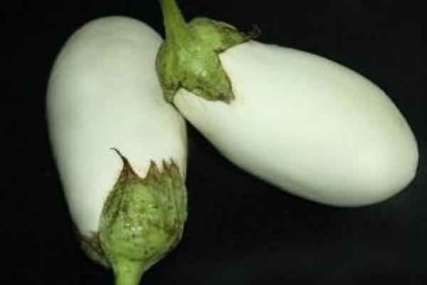 白茄子圖片大全