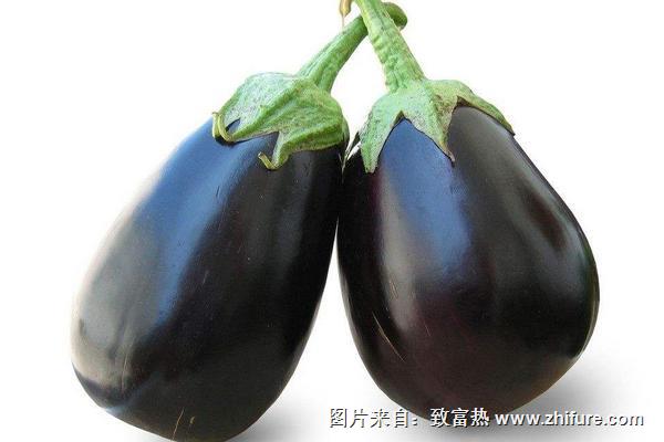 紫茄子的營養價值