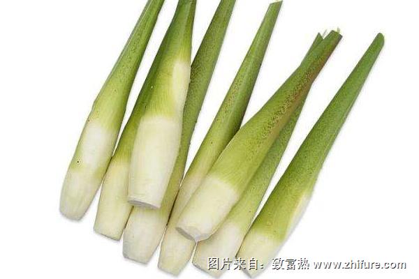 2018種茭白賺錢嗎?茭白種植的利潤與投資成本及前景預測