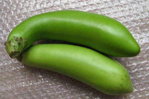 青茄子和紫茄子的區別是什么