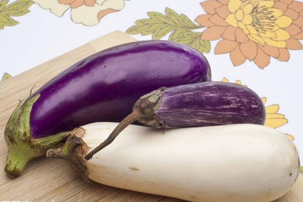 青茄子和紫茄子的區別是什么