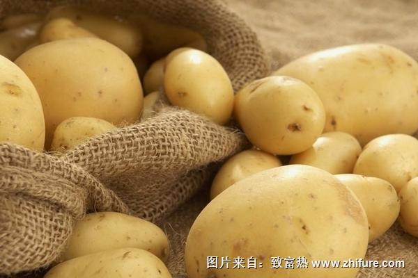 2018種馬鈴薯賺錢嗎？馬鈴薯種植的利潤與投資成本及前景預測