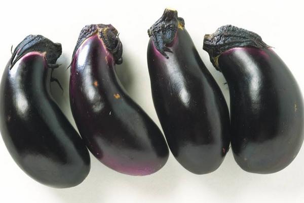 青茄子和紫茄子的區別是什么