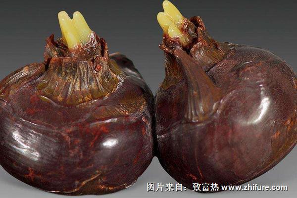 2018種荸薺賺錢嗎？荸薺種植的利潤與投資成本及前景預測