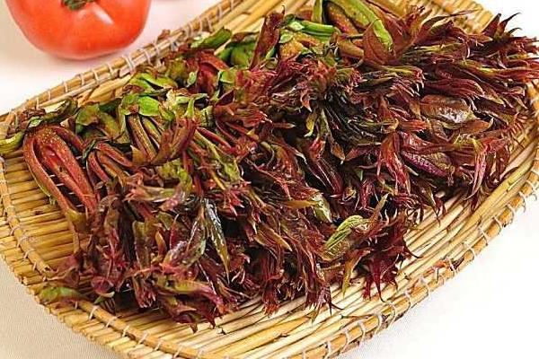 哺乳期能吃香椿嗎