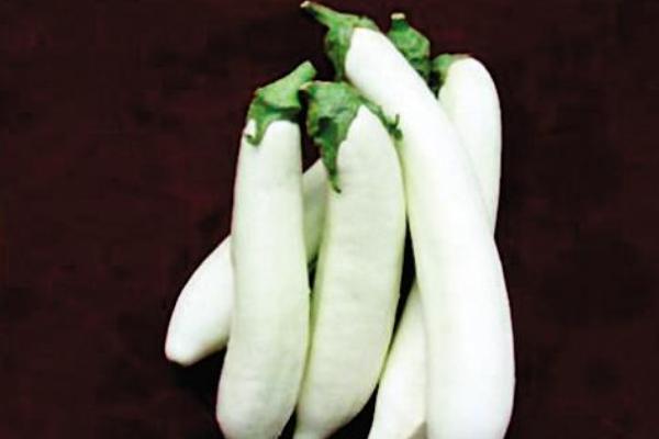 白茄子圖片大全