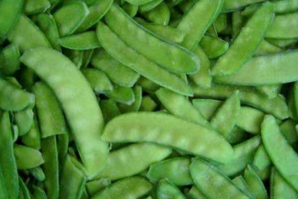 2018種荷蘭豆賺錢嗎？荷蘭豆種植的利潤與投資成本及前景預測