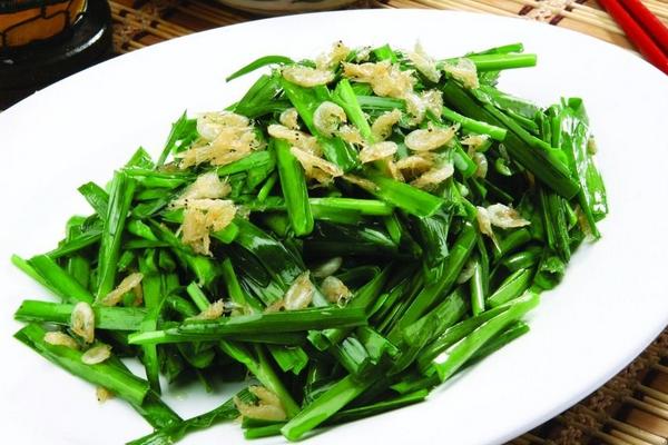 種韭菜是幾月份種