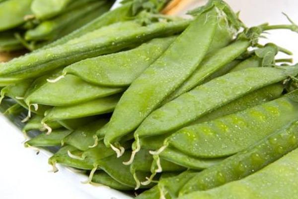 2018種荷蘭豆賺錢嗎？荷蘭豆種植的利潤與投資成本及前景預測