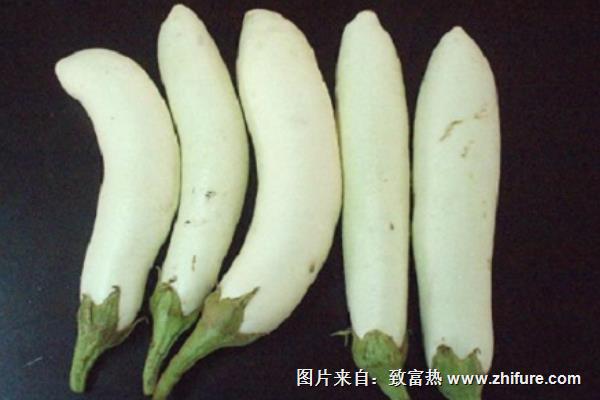 白茄子能治雀斑嗎