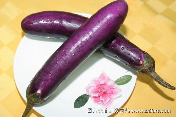 長茄子的做法大全