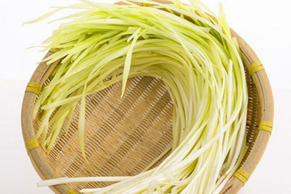 韭黃和韭菜的區別是什么